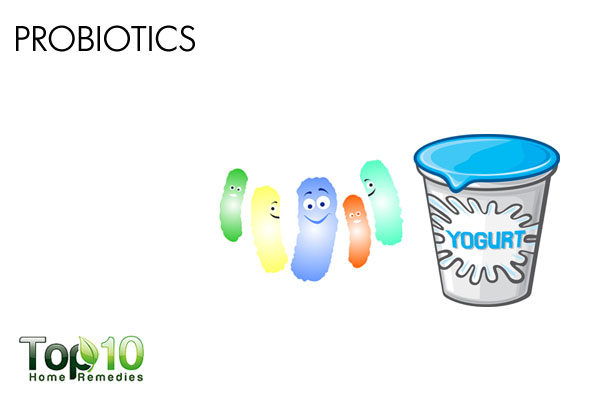 probiotics to treat bladder infection in dogs