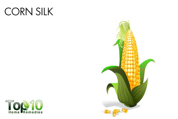 corn silk for bladder infection in dogs
