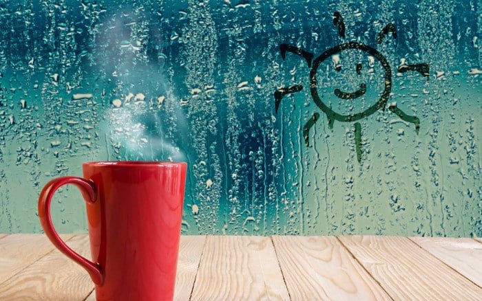 warm beverage in a cup