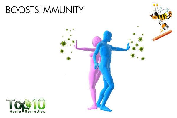 honey and cinnamon boosts immunity
