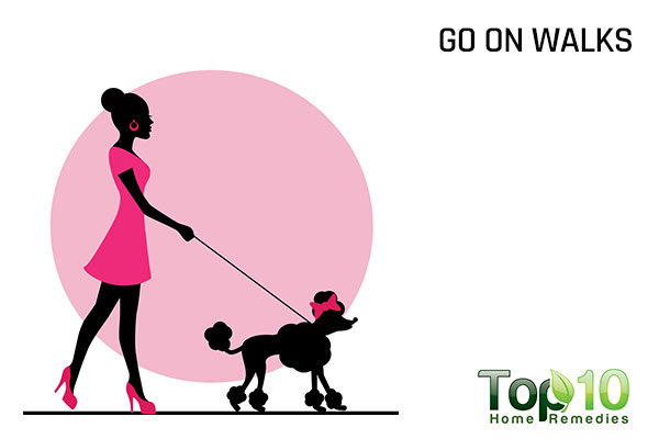 go walking with your dog