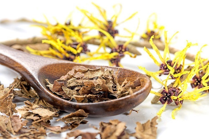 witch hazel