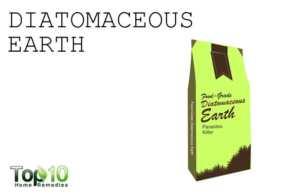 diotomaceous eath to control garden pests