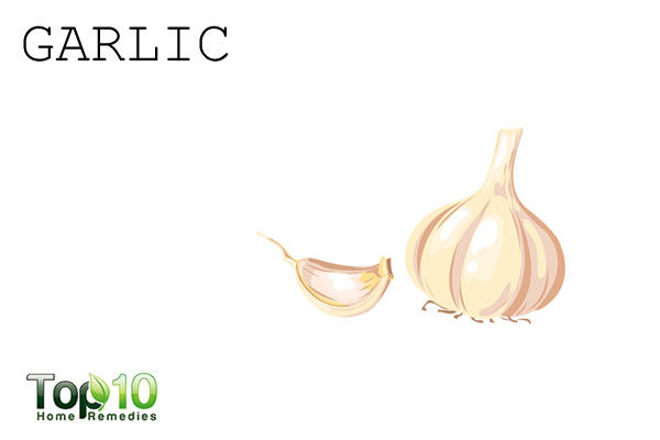 garlic to repel garden pests