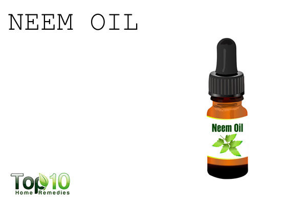 neem oil to repel garden pests