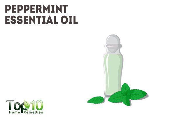 peppermint oil to repel garden pests