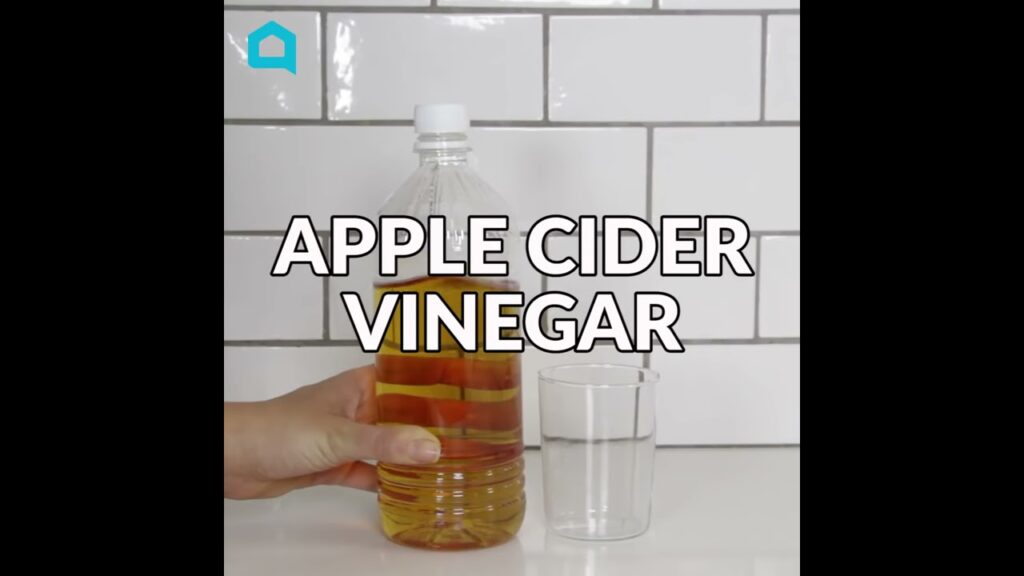 Quick and Easy DIY Ways to Make a Homemade Fruit Fly Trap