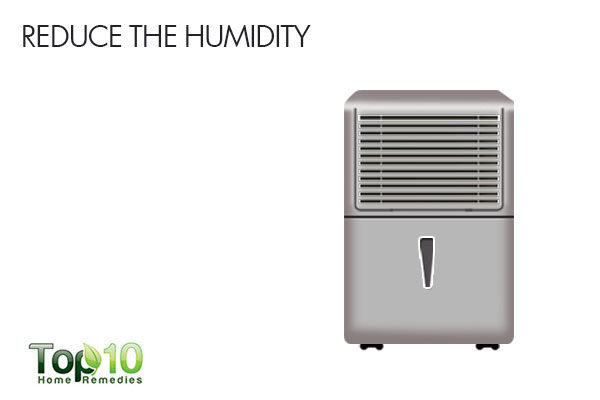 reduce humidity to get rid of silverfish