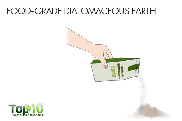 diatomaceous earth to treat silverfish infestation